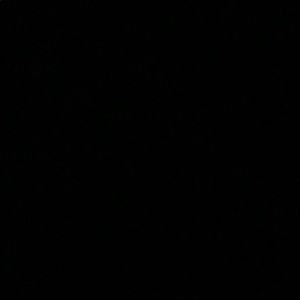 Meet your Posher, Alana